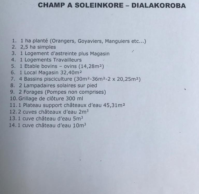 Sodio services champ soleinkore dialakoroba 1